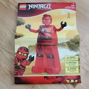 🎃🎃Boy Halloween costume🎃🎃